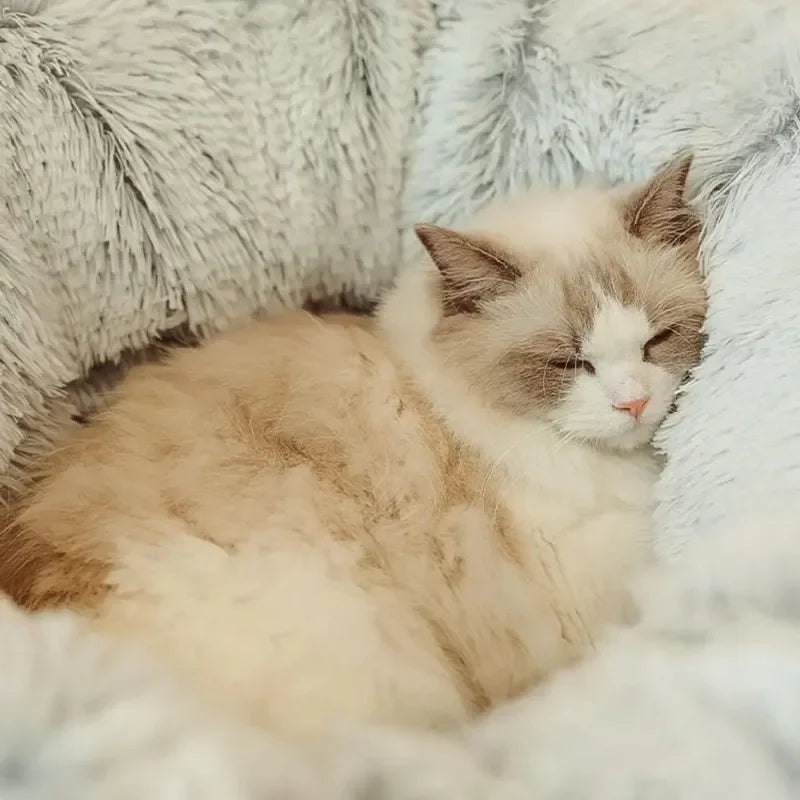 Fluffy Donut Pet Bed with Tunnel